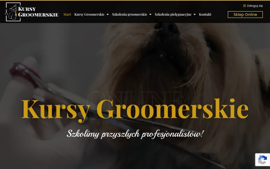 Strona internetowa Kursy Groomerskie, realizacja Weblix
