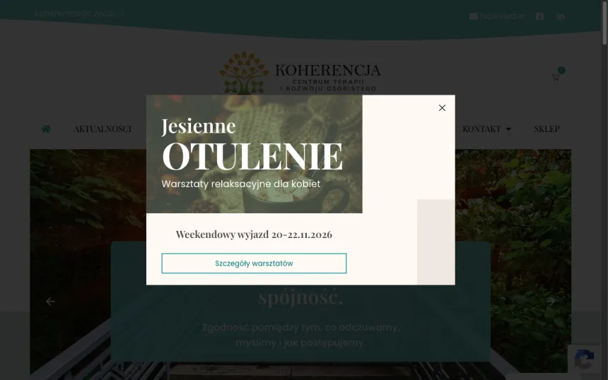 Strona internetowa Centrum Koherencja, realizacja Weblix