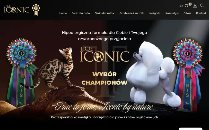Strona internetowa Trueiconic, realizacja Weblix
