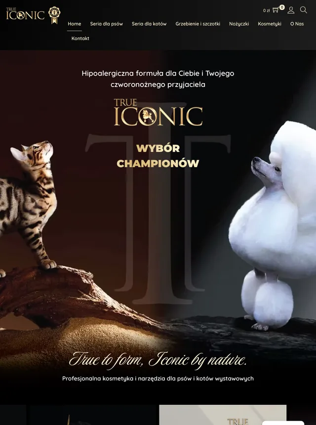 True Iconic, E-commerce